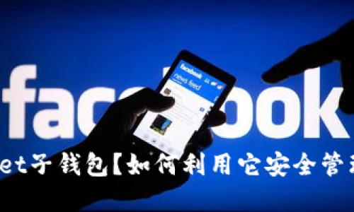 : 什么是TPWallet子钱包？如何利用它安全管理你的数字资产？