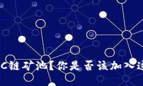 什么是TPWallet BSC链矿池？你是否该加入这个新兴的挖矿机会？