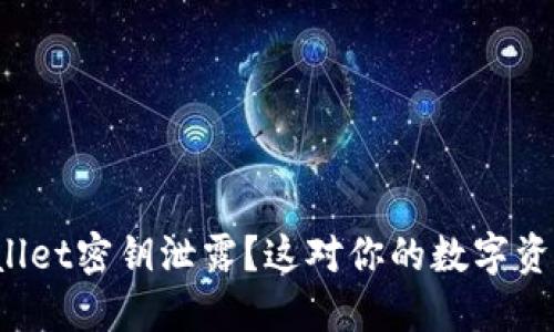 如何防止TPWallet密钥泄露？这对你的数字资产意味着什么？