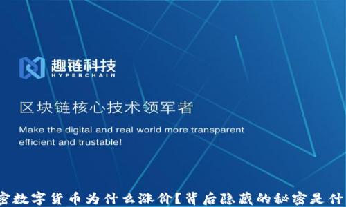 
加密数字货币为什么涨价？背后隐藏的秘密是什么？