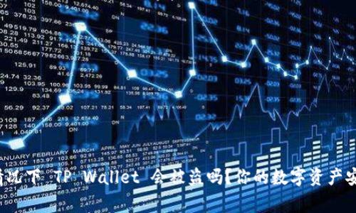 正常情况下 TP Wallet 会被盗吗？你的数字资产安全吗？