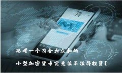 思考一个符合大众和的 小型加密货币究竟值不值