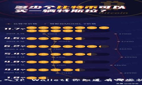 如何将资金充入TP Wallet？你知道有哪些快捷的方法吗？