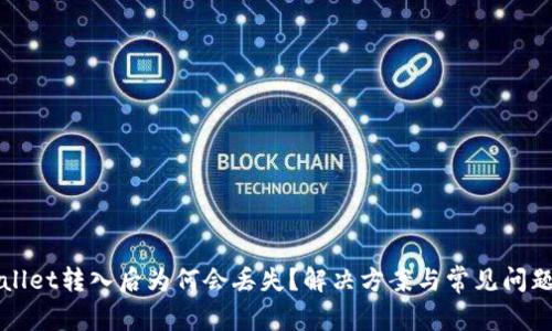 TPWallet转入后为何会丢失？解决方案与常见问题解析