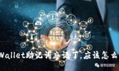 TPWallet助记词忘记了，应该怎么办？