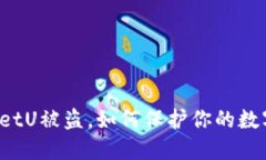 TPWalletU被盗，如何保护你的数字资产？