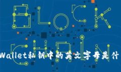 TPWallet私钥中的英文字母是什么？