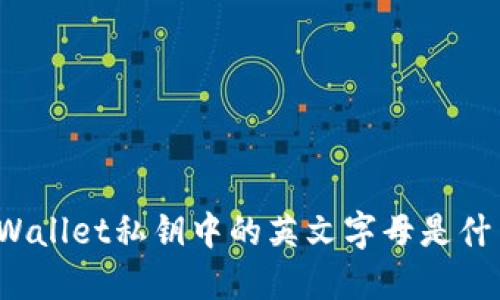 TPWallet私钥中的英文字母是什么？