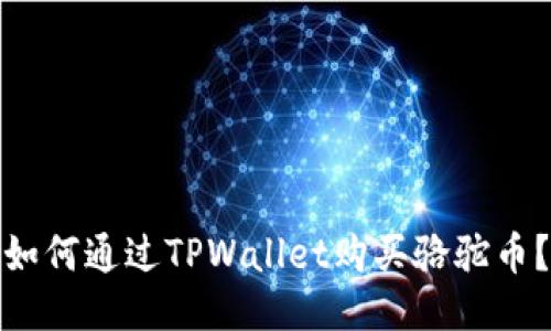 如何通过TPWallet购买骆驼币？