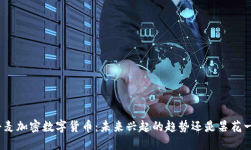 : 丹麦加密数字货币：未来兴起的趋势还是昙花一现？