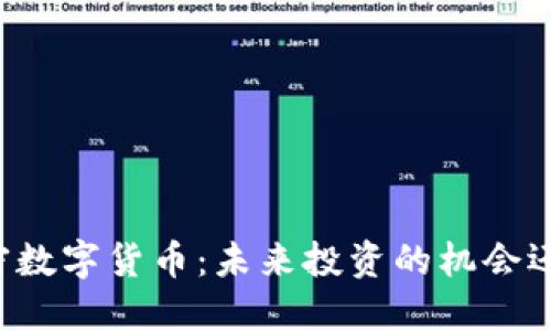 朝阳加密数字货币：未来投资的机会还是风险？