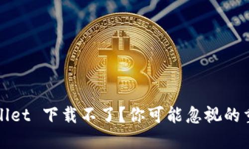 : 为什么 TPWallet 下载不了？你可能忽视的重要因素是什么？