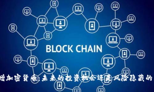 : 新增加密货币：未来的投资机会还是风险隐藏的陷阱？