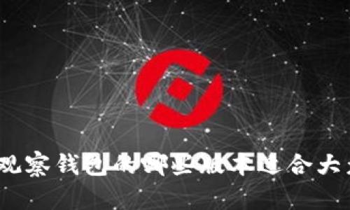 tp不带观察钱包的哪些版本适合大众用户？