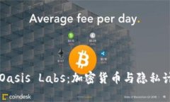 深入探索Oasis Labs：加密货币与隐私计算的未来