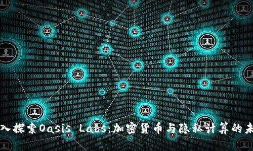 深入探索Oasis Labs：加密货币与隐私计算的未来