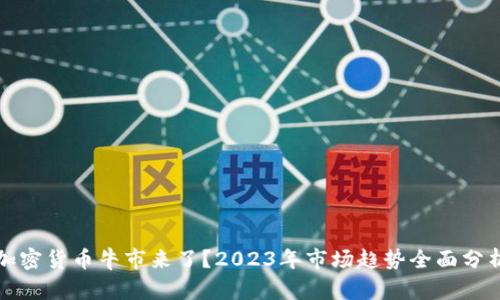 加密货币牛市来了？2023年市场趋势全面分析