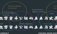 加密数字货币公链的未来与发展趋势加密数字货