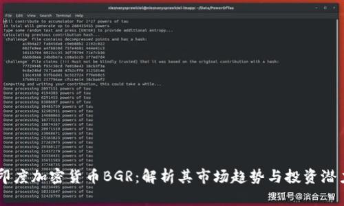 印度加密货币BGR：解析其市场趋势与投资潜力