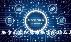  全面解析加拿大虚拟货币加密市场及其未来发展