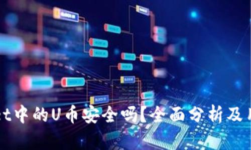 TPWallet中的U币安全吗？全面分析及用户指南