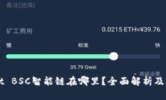 TPWallet BSC智能链在哪里？全面解析及使用指南