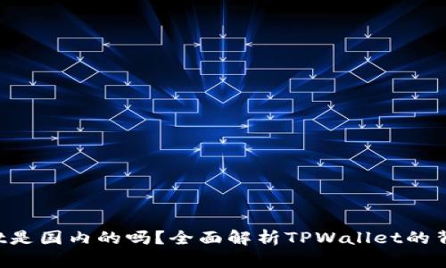  TPWallet是国内的吗？全面解析TPWallet的背景和发展