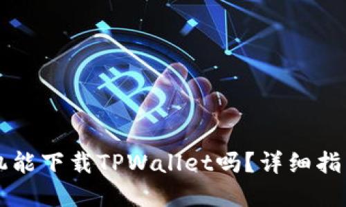苹果手机能下载TPWallet吗？详细指南与解答