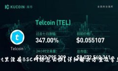 : TPWallet里没有BSC网络怎么办？详细解决方案及常