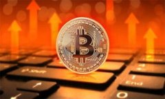 迪拜如何支持加密货币的发展和应用