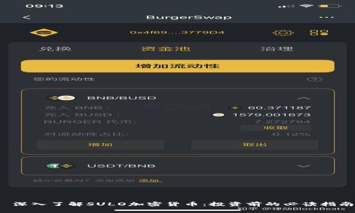  深入了解SULO加密货币：投资前的必读指南