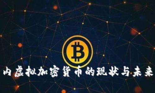 : 国内虚拟加密货币的现状与未来展望