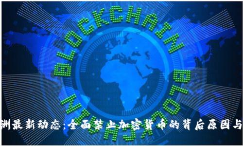 : 欧洲最新动态：全面禁止加密货币的背后原因与影响