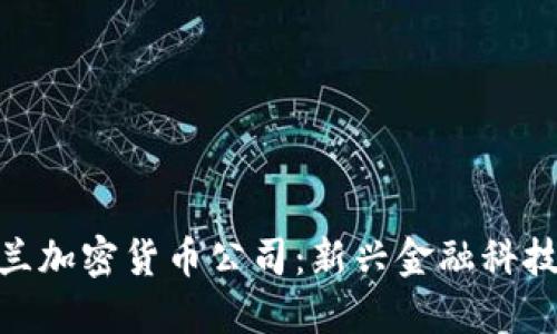 : 爱尔兰加密货币公司：新兴金融科技的先锋