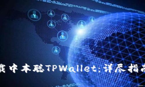 如何安全下载中本聪TPWallet：详尽指南与注意事项