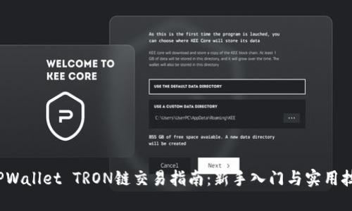  TPWallet TRON链交易指南：新手入门与实用技巧
