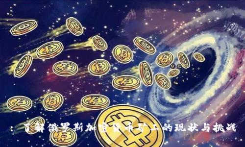 : 了解俄罗斯加密货币矿工的现状与挑战