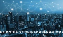 苹果手机下载不了TPWallet的原因及解决方法解析
