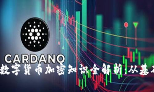 2023年数字货币加密知识全解析：从基础到进阶