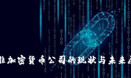 南非加密货币公司的现状与未来展望