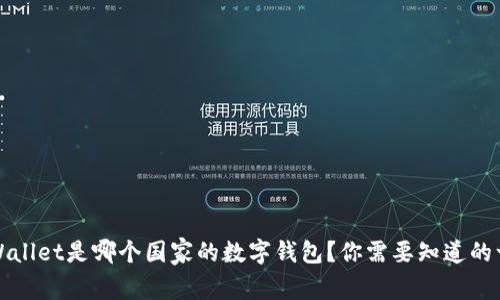 TPWallet是哪个国家的数字钱包？你需要知道的一切