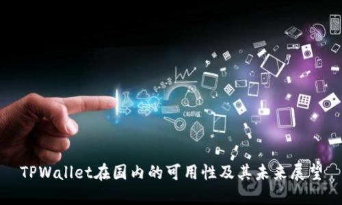 TPWallet在国内的可用性及其未来展望