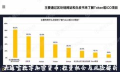 大通宝数字加密货币：投资机会与风险解析